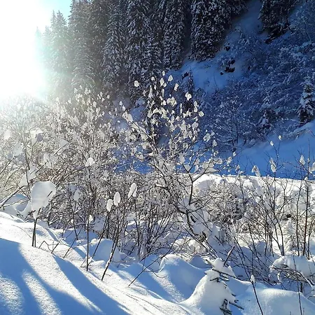 Apartment Chalet Stubach 80